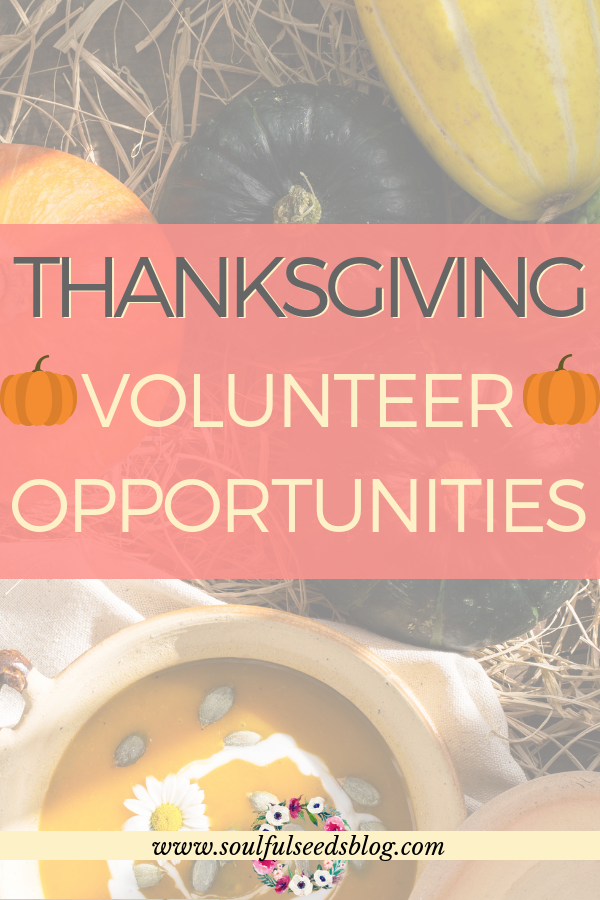 thanksgiving activities, giving back, thanksgiving volunteer