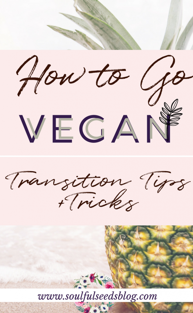 how to go vegan, vegan guide, vegan beginner guide, new vegan, what to eat vegan