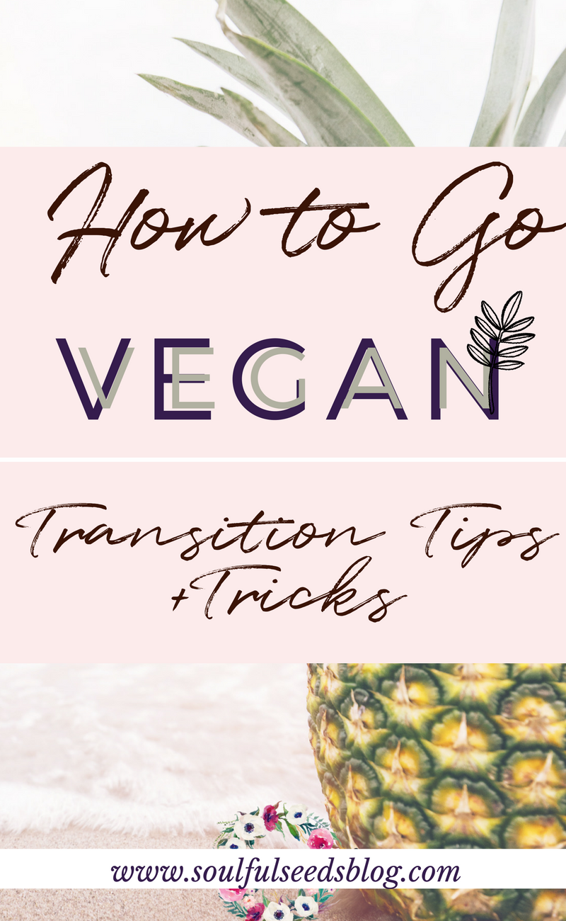 How To Go Vegan -Guide To Plant Based Eating – Zahra Biabani