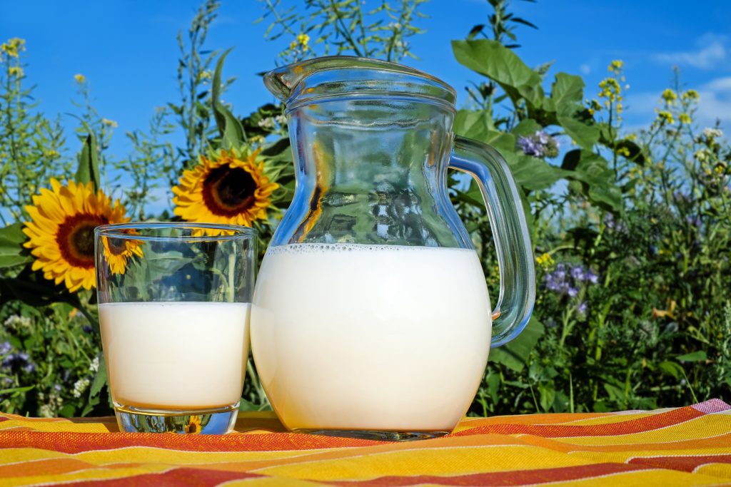 milk myths and a guide to milk alternatives and plant based milk- is dairy healthy?