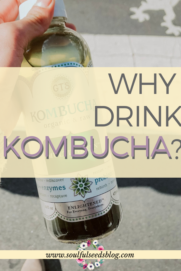 Kombucha health, benefits of kombucha, Health benefits, kombucha health, gut health