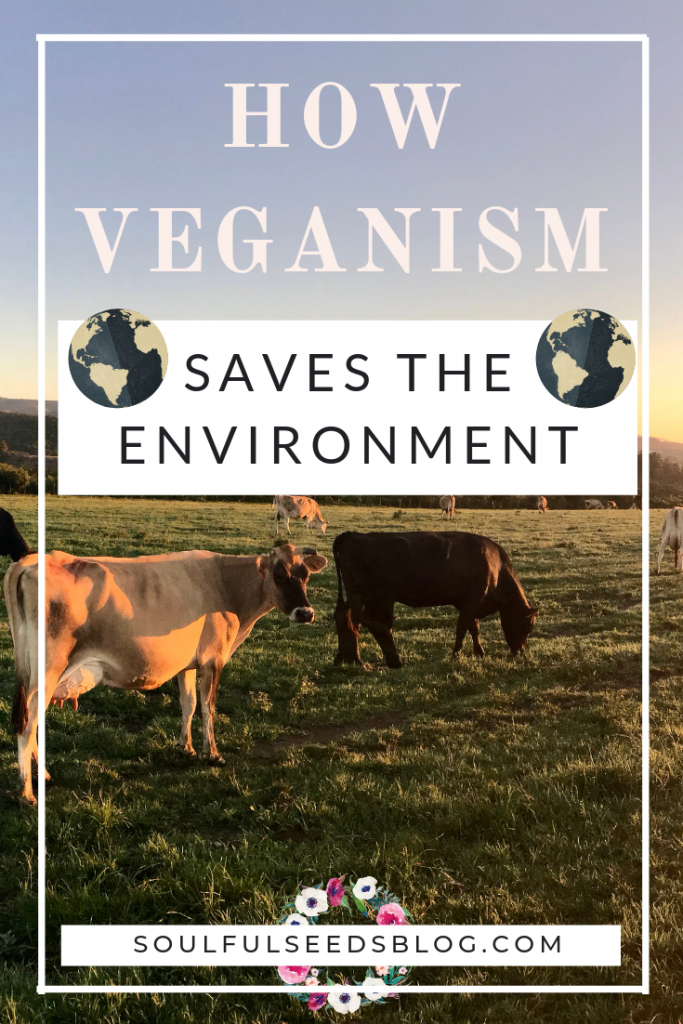 environmental benefits veganism has to offer and why you should go vegan for the environment! #veganbenefits #veganfortheenvironment