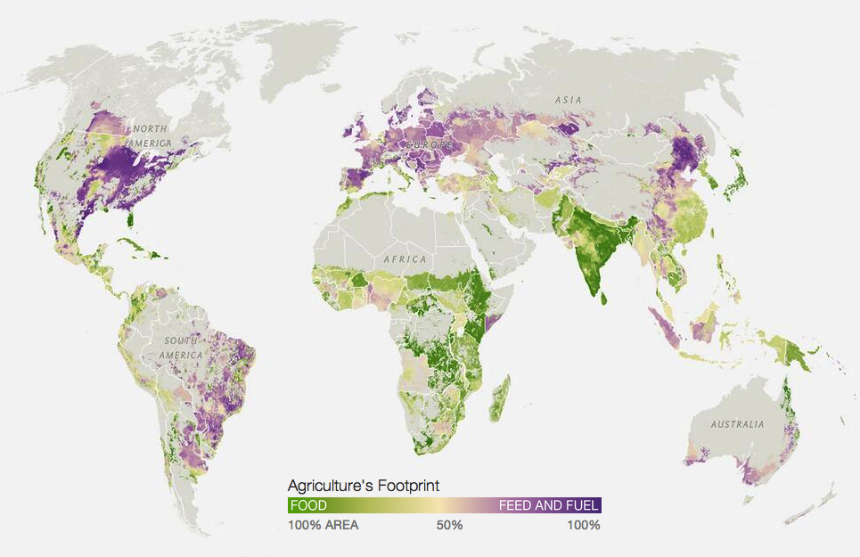 land use animal agriculture