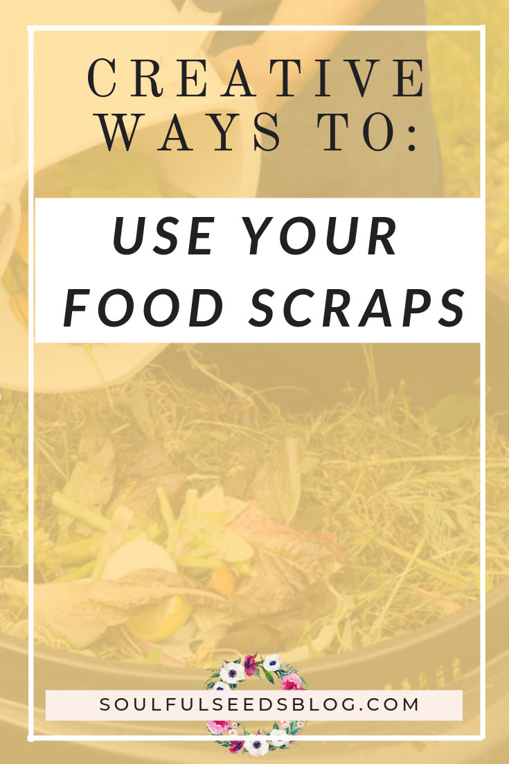 what-to-do-with-food-scraps-zahra-biabani