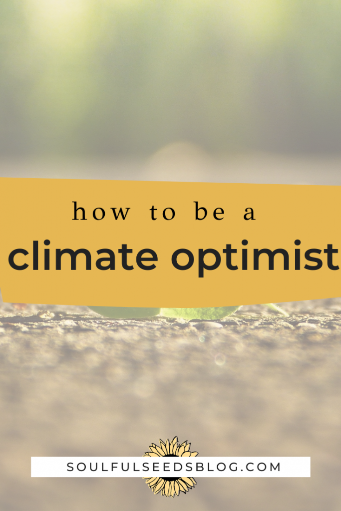 climate optimism